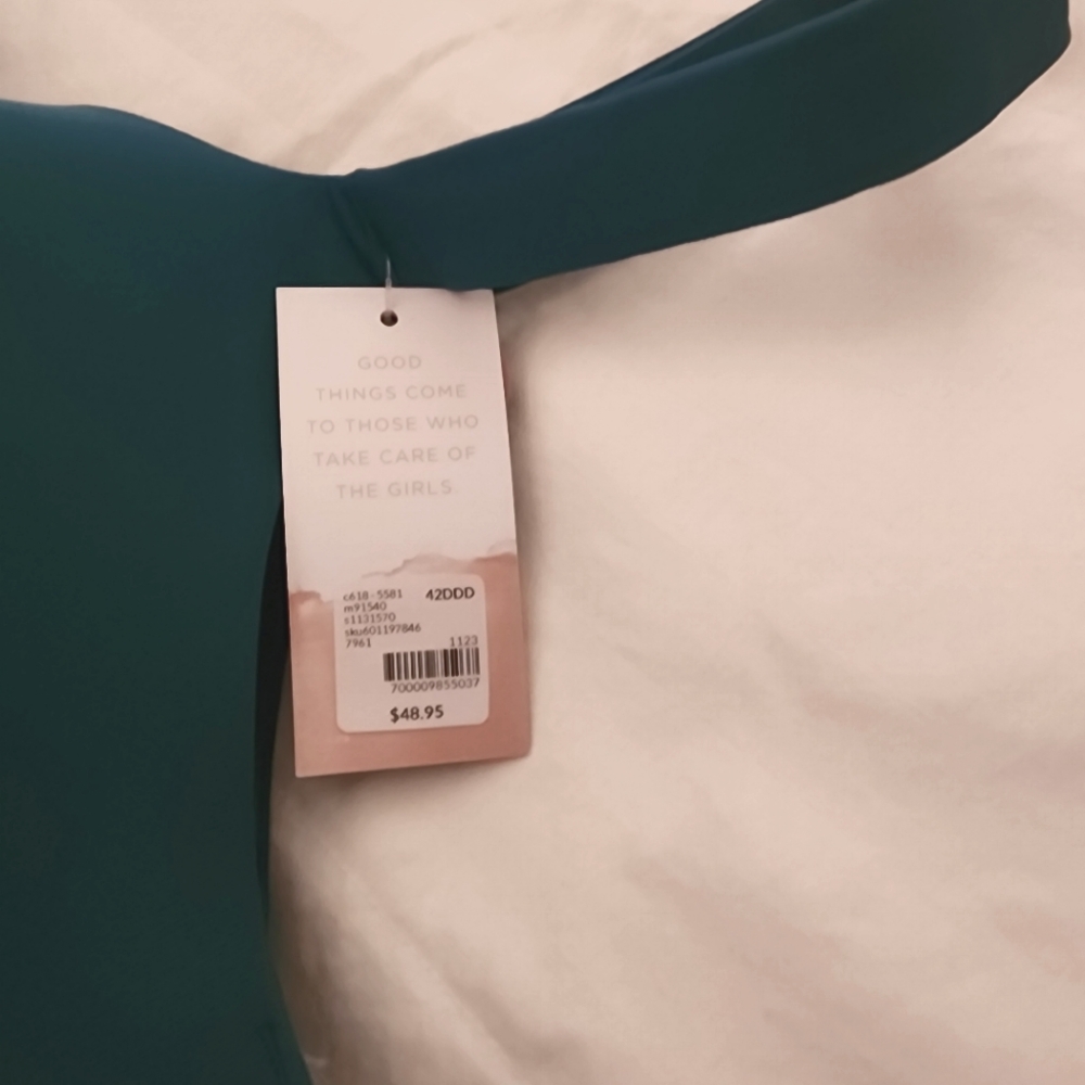 Cacique Bra The Modern